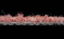 Tessera Chroma 3624 Blossom фото 4 | FLOORDEALER