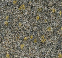 Ковролин Finett Vision Focus 805552 фото 1 | FLOORDEALER