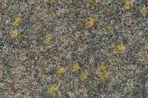 Ковролин Finett Vision Focus 805552 фото  | FLOORDEALER