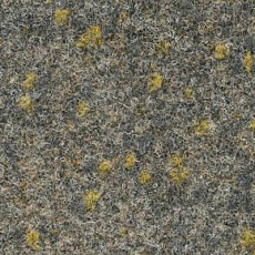 Ковролин Finett Vision Focus 805552 фото 1 | FLOORDEALER