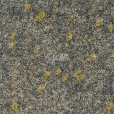 Ковролин Finett Vision Focus 805552 фото 1 | FLOORDEALER