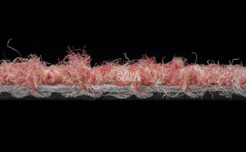 Tessera Chroma 3624 Blossom фото 4 | FLOORDEALER