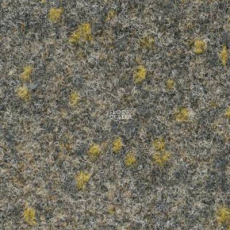 Finett Vision Focus 805552 фото 1 | FLOORDEALER