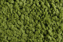 Ковровая плитка ColorKey ColorKey 01 фото 1 | FLOORDEALER