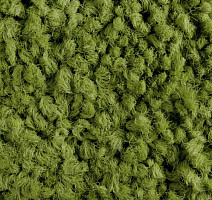 Ковровая плитка ColorKey ColorKey 01 фото 1 | FLOORDEALER