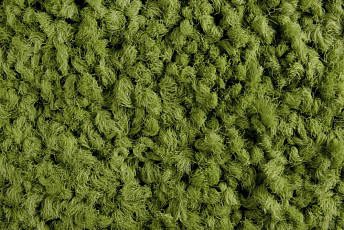 Ковровая плитка ColorKey ColorKey 01 фото 1 | FLOORDEALER