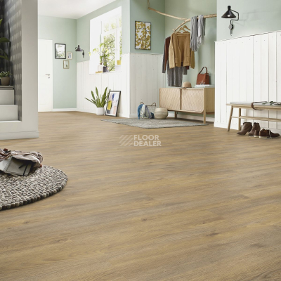 Ламинат Kronotex Exquisit Plus d6009 Дуб Эльба Природный фото 2 | FLOORDEALER