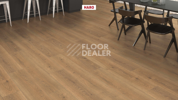 Ламинат Haro Tritty 200 Aqua 4V Дуб Флавия Натур 544766 фото 3 | FLOORDEALER