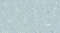 Кварцвиниловые полы Mipolam Cosmo 2607_Aquamarine фото 1 | FLOORDEALER