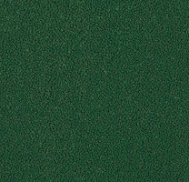 Westbond Ibond зеленая гамма 9239 фото 1 | FLOORDEALER