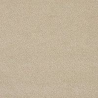 Ковролин Lano Pleasure Ple 0260 фото 1 | FLOORDEALER