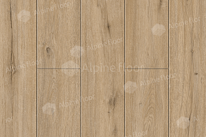 Кварцвиниловые полы Alpine Floor Solo Plus 4мм Дуб Ларго ECO14-601 фото  | FLOORDEALER