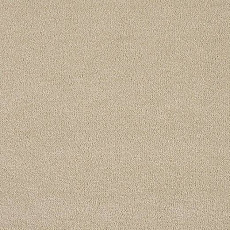 Ковролин Lano Pleasure Ple 0260 фото 1 | FLOORDEALER