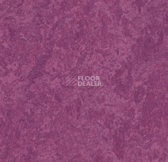 Линолеум Forbo Marmoleum Decibel 324535 фото 1 | FLOORDEALER