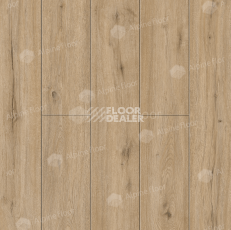 Кварцвиниловые полы Alpine Floor Solo Plus 4мм Дуб Ларго ECO14-601 фото 1 | FLOORDEALER