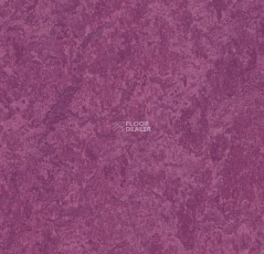 Forbo Marmoleum Decibel 324535 фото 1 | FLOORDEALER