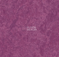 Линолеум Forbo Marmoleum Decibel 324535 фото 1 | FLOORDEALER