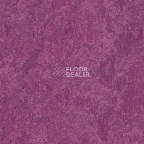 Линолеум Forbo Marmoleum Decibel 324535 фото 1 | FLOORDEALER