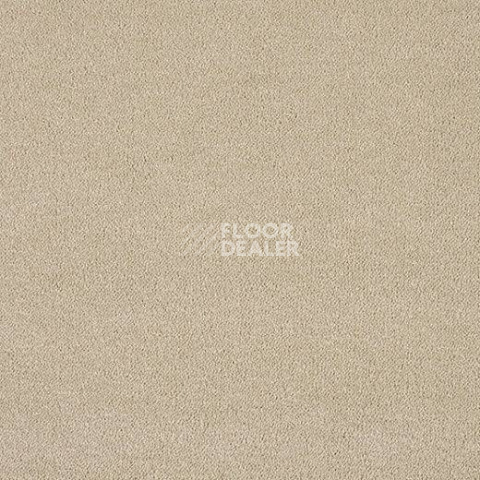 Ковролин Lano Pleasure Ple 0260 фото 1 | FLOORDEALER