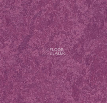 Линолеум Forbo Marmoleum Decibel 324535 фото 1 | FLOORDEALER