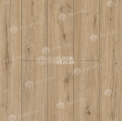 Кварцвиниловые полы Alpine Floor Solo Plus 4мм Дуб Ларго ECO14-601 фото 1 | FLOORDEALER
