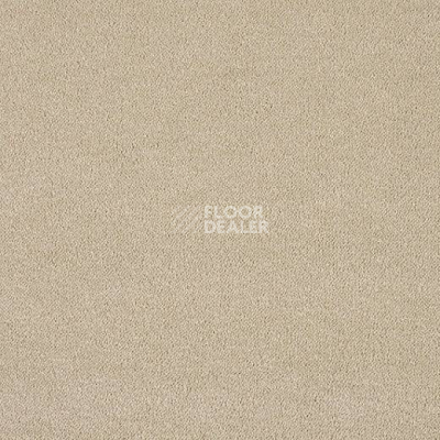 Ковролин Lano Pleasure Ple 0260 фото 1 | FLOORDEALER
