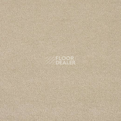 Ковролин Lano Pleasure Ple 0260 фото 1 | FLOORDEALER