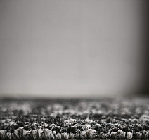 Bonkeel Sunrise Graphit фото 3 | FLOORDEALER