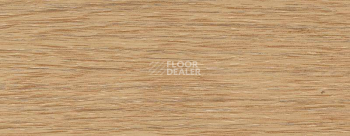 Плинтус Dollken EP 60/13 2391 фото 2 | FLOORDEALER