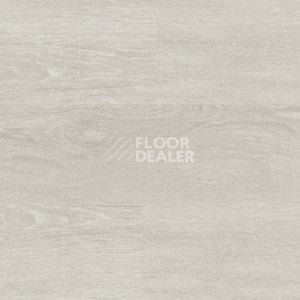 Линолеум Polyflor Expona Wood 6185 фото 1 | FLOORDEALER
