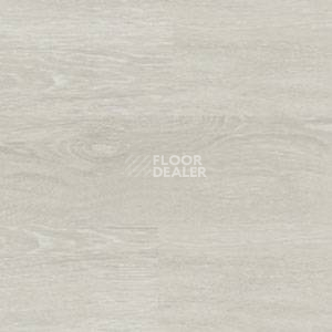 Линолеум Polyflor Expona Wood 6185 фото 1 | FLOORDEALER