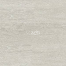 Линолеум Polyflor Expona Wood 6185 фото 1 | FLOORDEALER