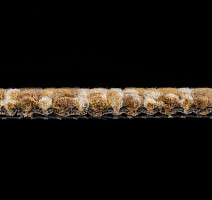 Betap Plato_new Plato 220 фото 4 | FLOORDEALER