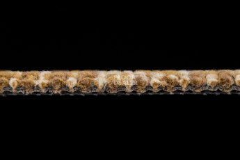 Betap Plato_new Plato 220 фото 4 | FLOORDEALER