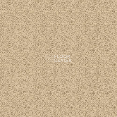 Ковролин Agnella Creation Kasjop Linen фото 1 | FLOORDEALER