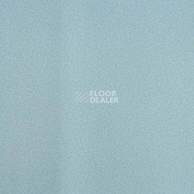 Линолеум Lg Calmpasso CP 93510 фото 1 | FLOORDEALER