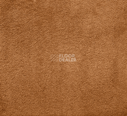 Ковролин AW Silk 84 фото 1 | FLOORDEALER