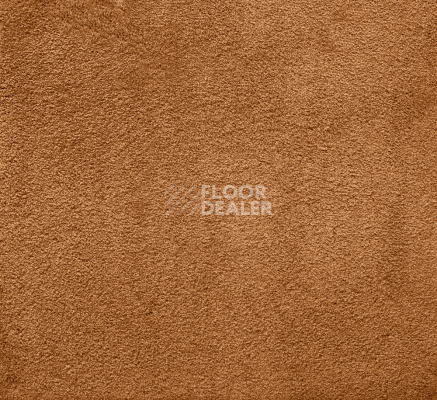 Ковролин AW Silk 84 фото 1 | FLOORDEALER
