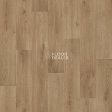 Линолеум Tarkett Acczent Pro Samson 1 фото 1 | FLOORDEALER