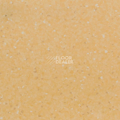 Линолеум Tarkett iQ Aria CARII-661 фото 1 | FLOORDEALER