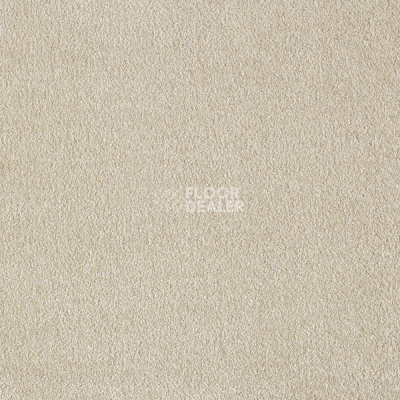 Ковролин AW Masquerade Euphoria 34 фото 1 | FLOORDEALER