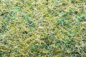 Ковролин Forbo Markant 11108 Field фото 1 | FLOORDEALER