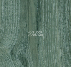 Кварцвиниловые полы Forbo allura decibel 0.8 wood 9718AD8 sage green ash (100x20 cm) фото 1 | FLOORDEALER