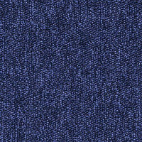 Desso Tempra-Brlm 8801 фото 1 | FLOORDEALER