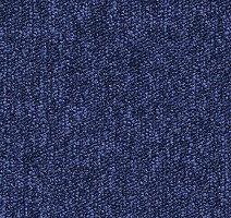 Ковролин Desso Tempra-Brlm 8801 фото 1 | FLOORDEALER