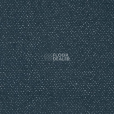 Ковролин Sintelon Orion 36839 фото 1 | FLOORDEALER