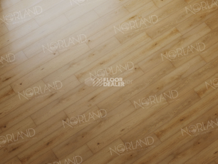 Norland Sigrid  LVT 2мм Blake 1003-2 фото 3 | FLOORDEALER
