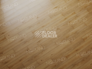 Norland Sigrid  LVT 2мм Blake 1003-2 фото 3 | FLOORDEALER