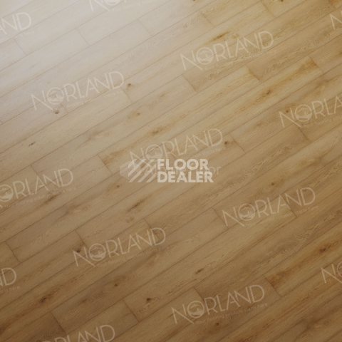 Norland Sigrid  LVT 2мм Blake 1003-2 фото 3 | FLOORDEALER