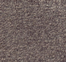 Ковролин Emphatic Beaulieu of America 56904 фото 1 | FLOORDEALER